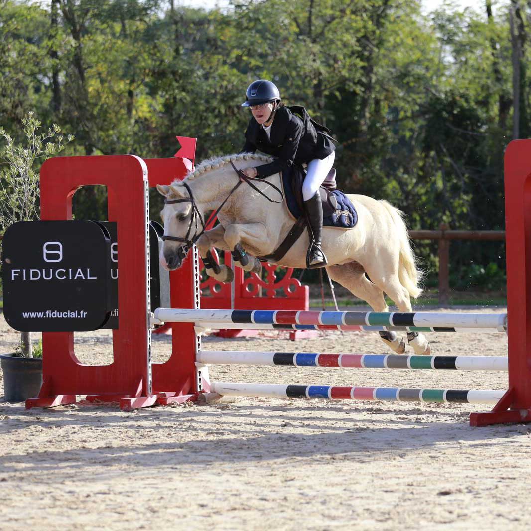 pension chevaux lyon poleymieux