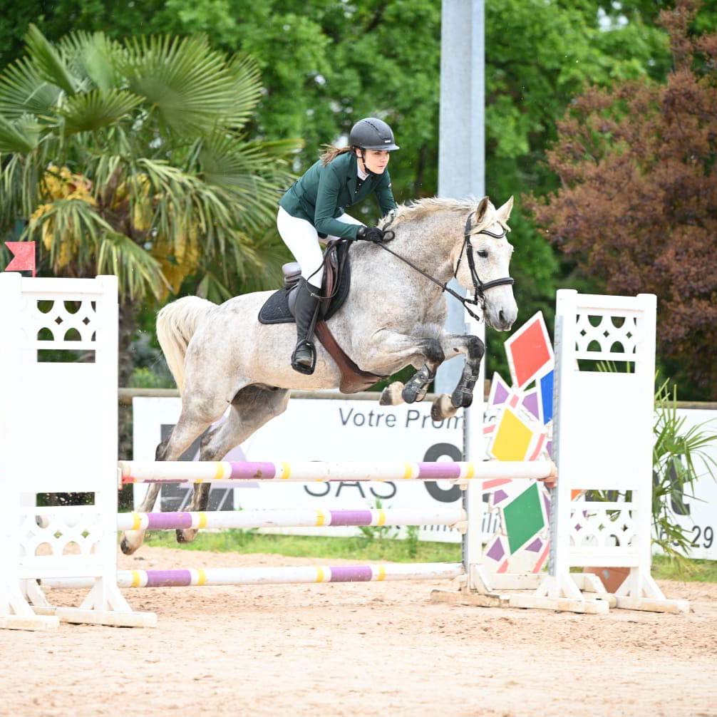 pension chevaux lyon poleymieux