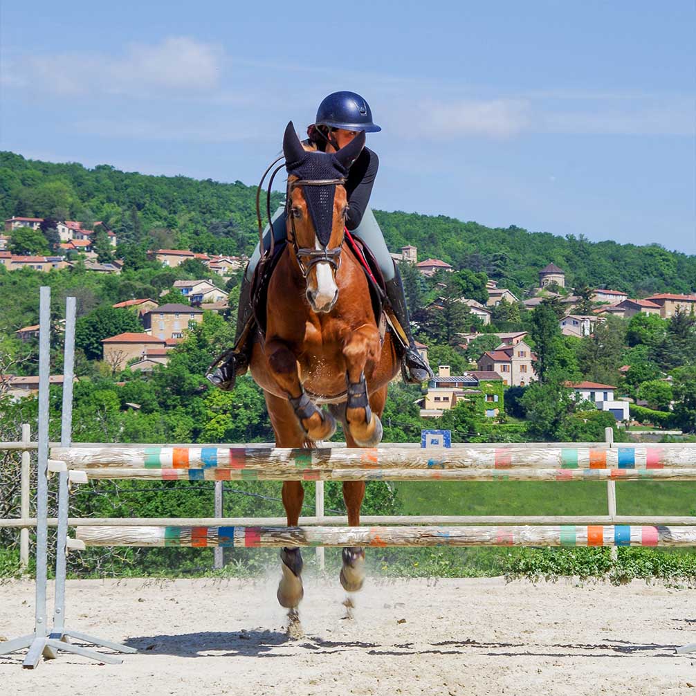 cours d'équitation